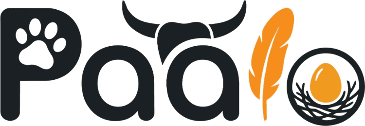 Paalo