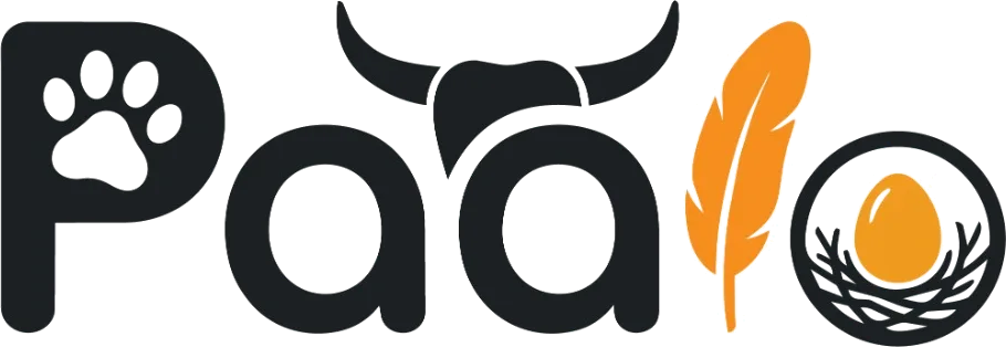 Paalo